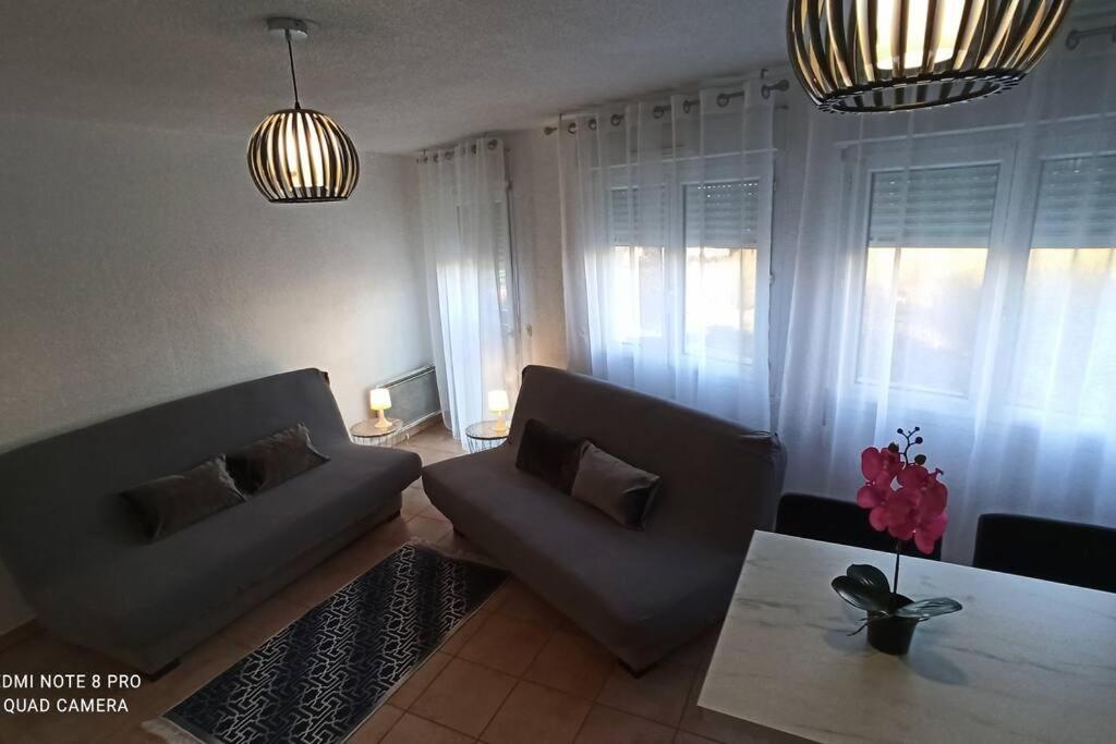 Appartement Face A La Gare Annemasse Bagian luar foto